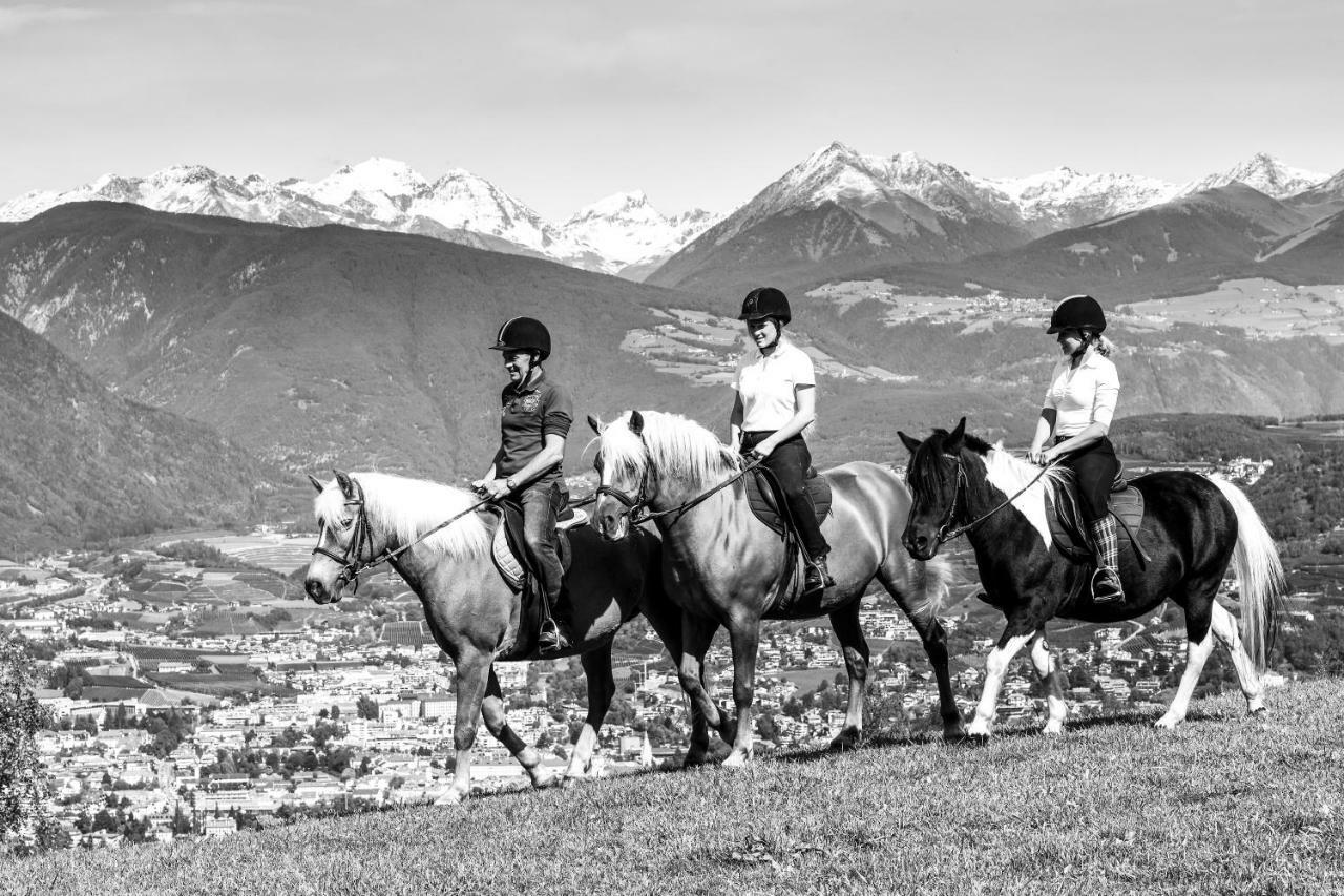 Widmannhof - Urlaub Auf Dem Biobauernhof Villa Bressanone Dış mekan fotoğraf